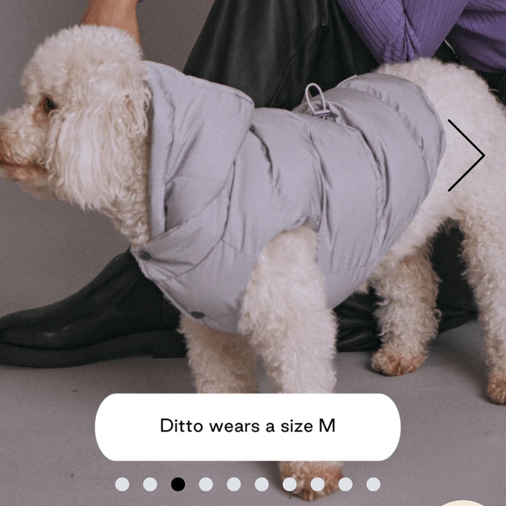 Maxbone dog jacket